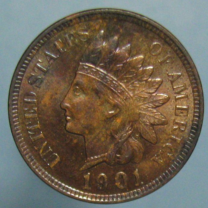 1901-Indian-Head-Cent---Any-Chance-This-Is-A-Proof?